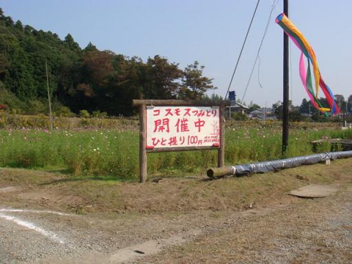 b0139906_2202724.jpg
