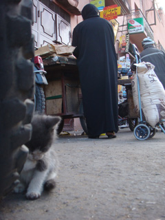 d0126508_2492329.jpg