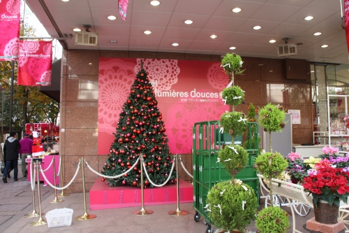 e0121110_2044429.jpg
