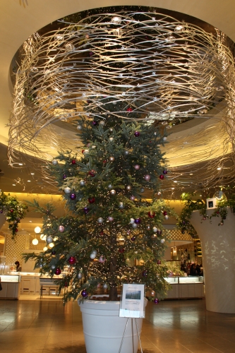 e0121110_20452976.jpg