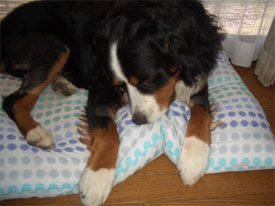 c0143711_2033178.gif