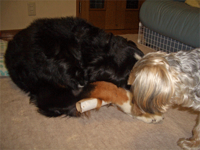 c0143711_2058722.gif