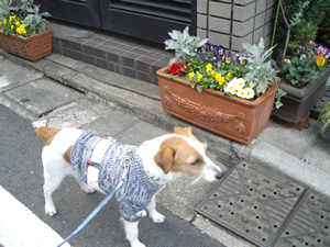 c0157412_0334026.jpg