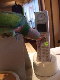 c0133013_14205485.jpg