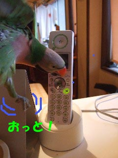 c0133013_14265772.jpg