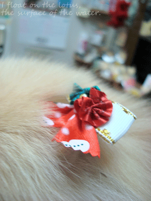 b0075318_11271239.gif