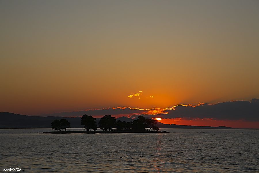 a0104324_4122044.jpg