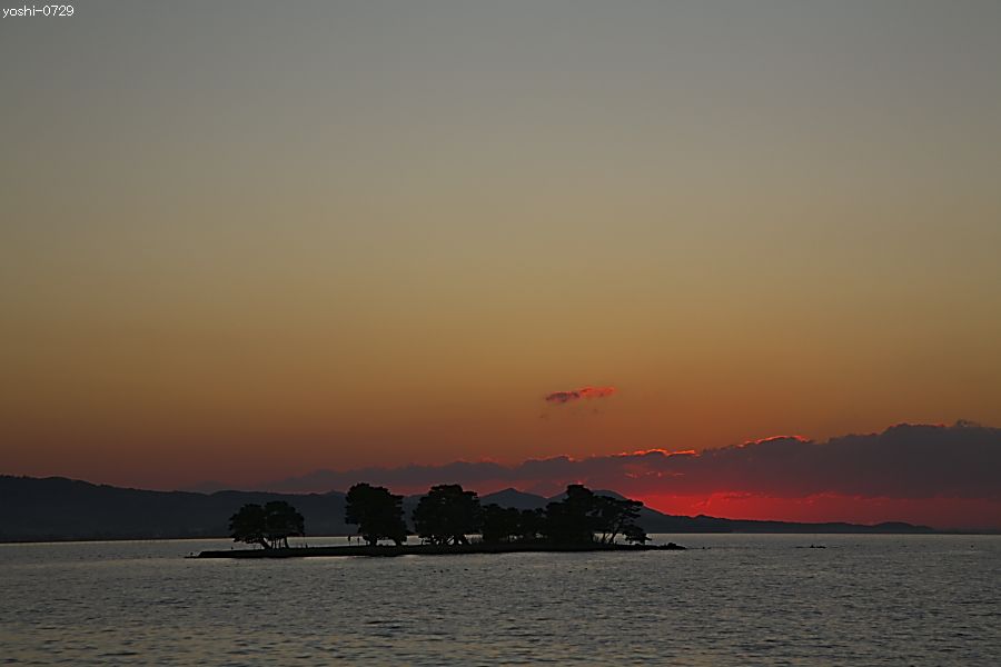 a0104324_4122938.jpg