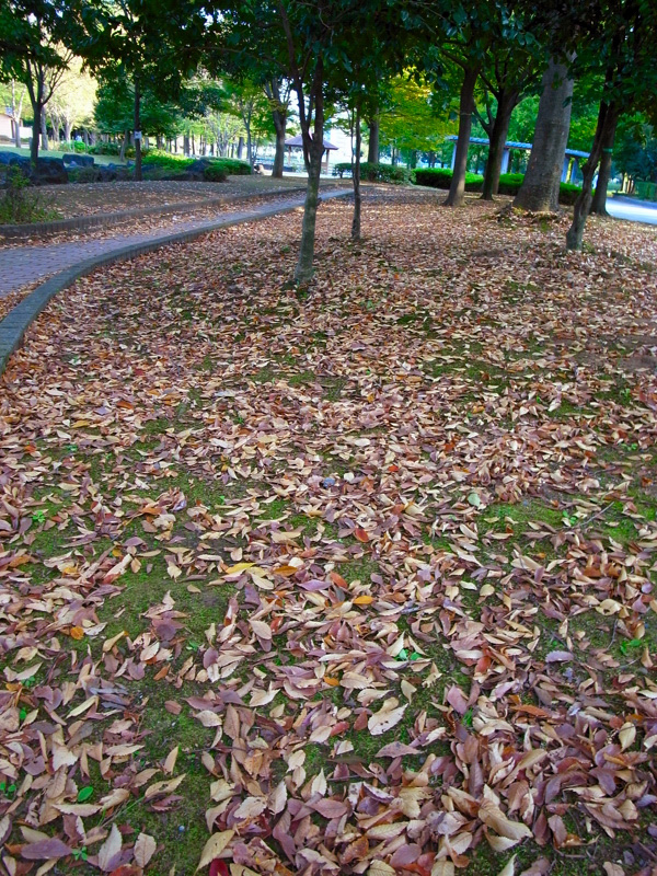 e0135024_11312931.jpg