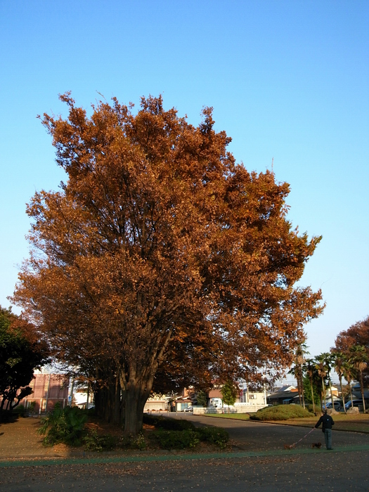 e0135024_11325162.jpg