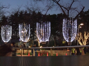 b0001326_055263.jpg