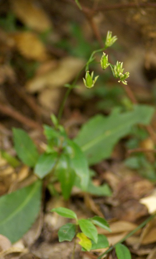 d0053930_6562415.jpg