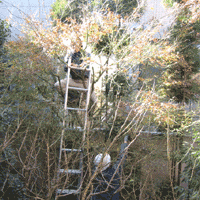 d0033734_13523952.gif