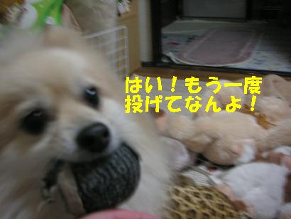 c0179136_0481928.jpg