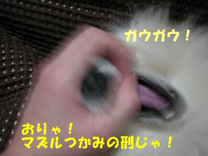 c0179136_0484433.jpg