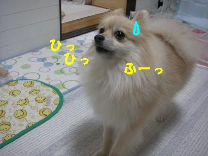 c0179136_0484915.jpg