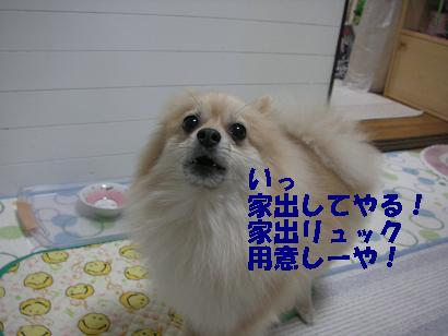 c0179136_0485328.jpg