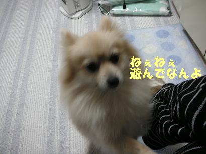 c0179136_048827.jpg