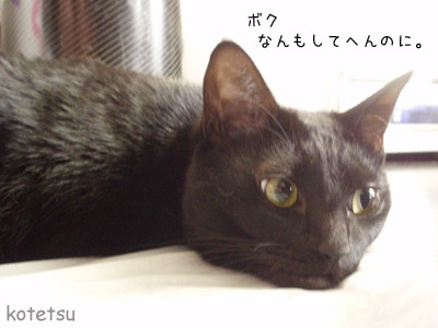 c0132438_2234297.jpg