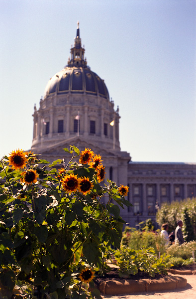 c0157739_7383451.jpg