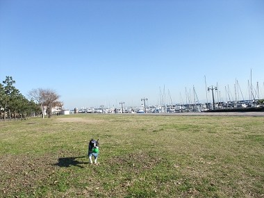 e0126046_23244868.jpg