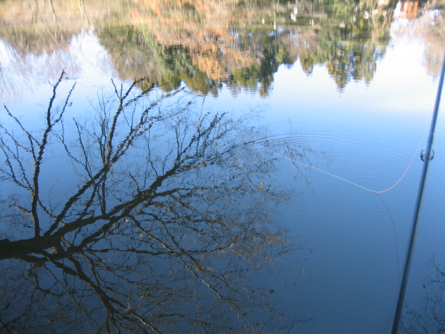 f0168947_6291880.jpg