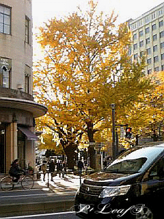 c0176651_185332100.gif