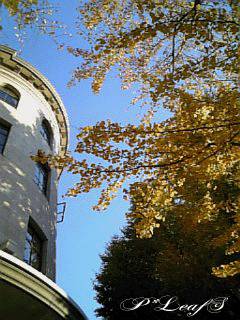 c0176651_18564398.gif