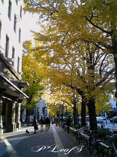 c0176651_18565742.gif