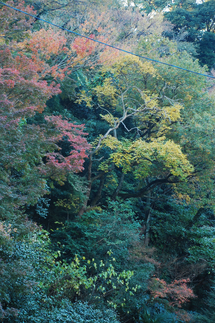 f0176458_16314513.jpg