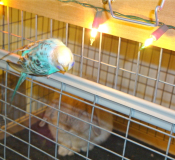 d0131460_13403634.jpg