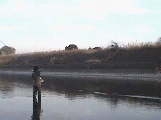 f0084561_1724917.gif