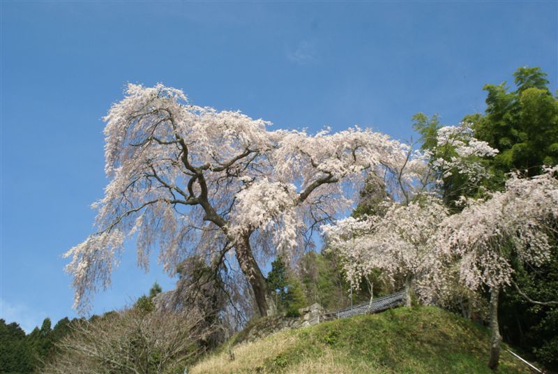 c0185066_2117395.jpg