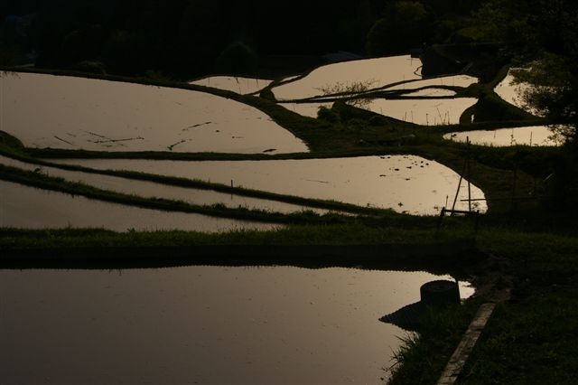 c0185066_221782.jpg