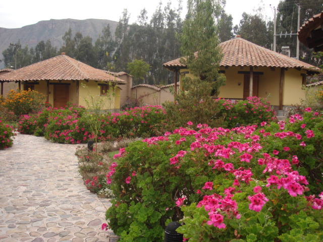 f0160069_1938257.jpg