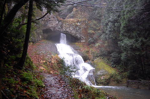c0022275_17161920.jpg