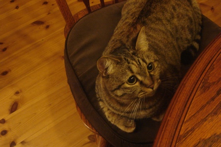 c0135480_095179.jpg
