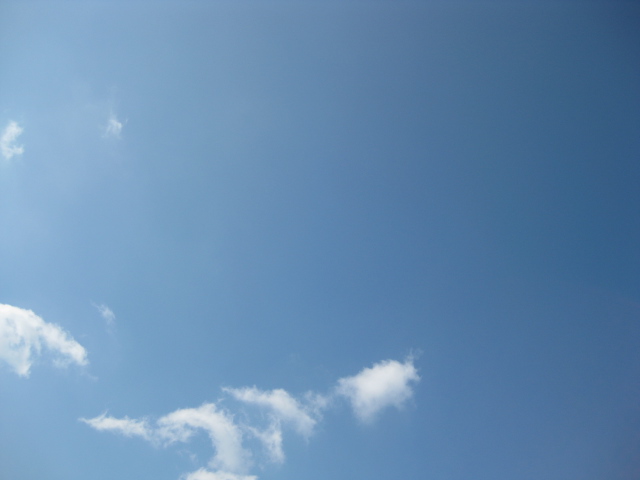 f0143386_22354718.jpg