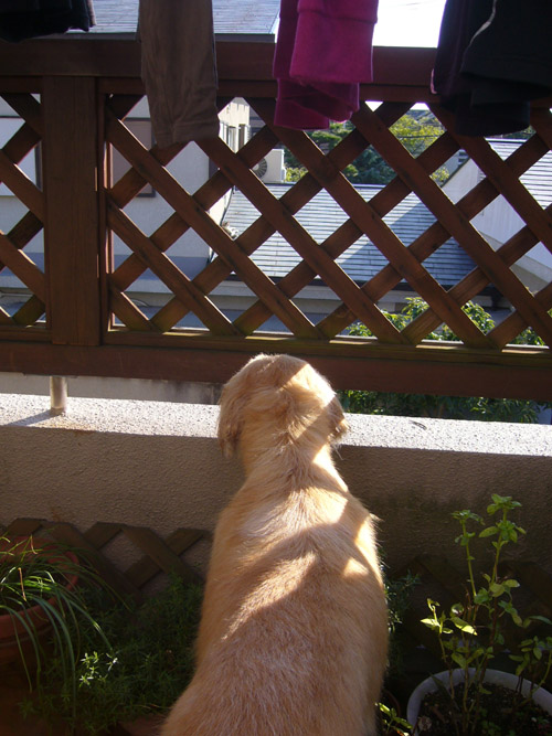 c0085188_22515799.jpg