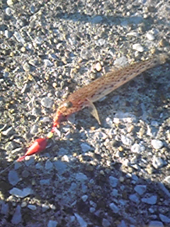 f0191888_13513191.jpg