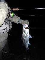 f0069890_482217.jpg