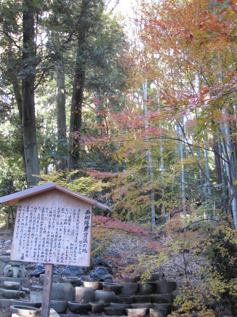 f0010195_431273.jpg