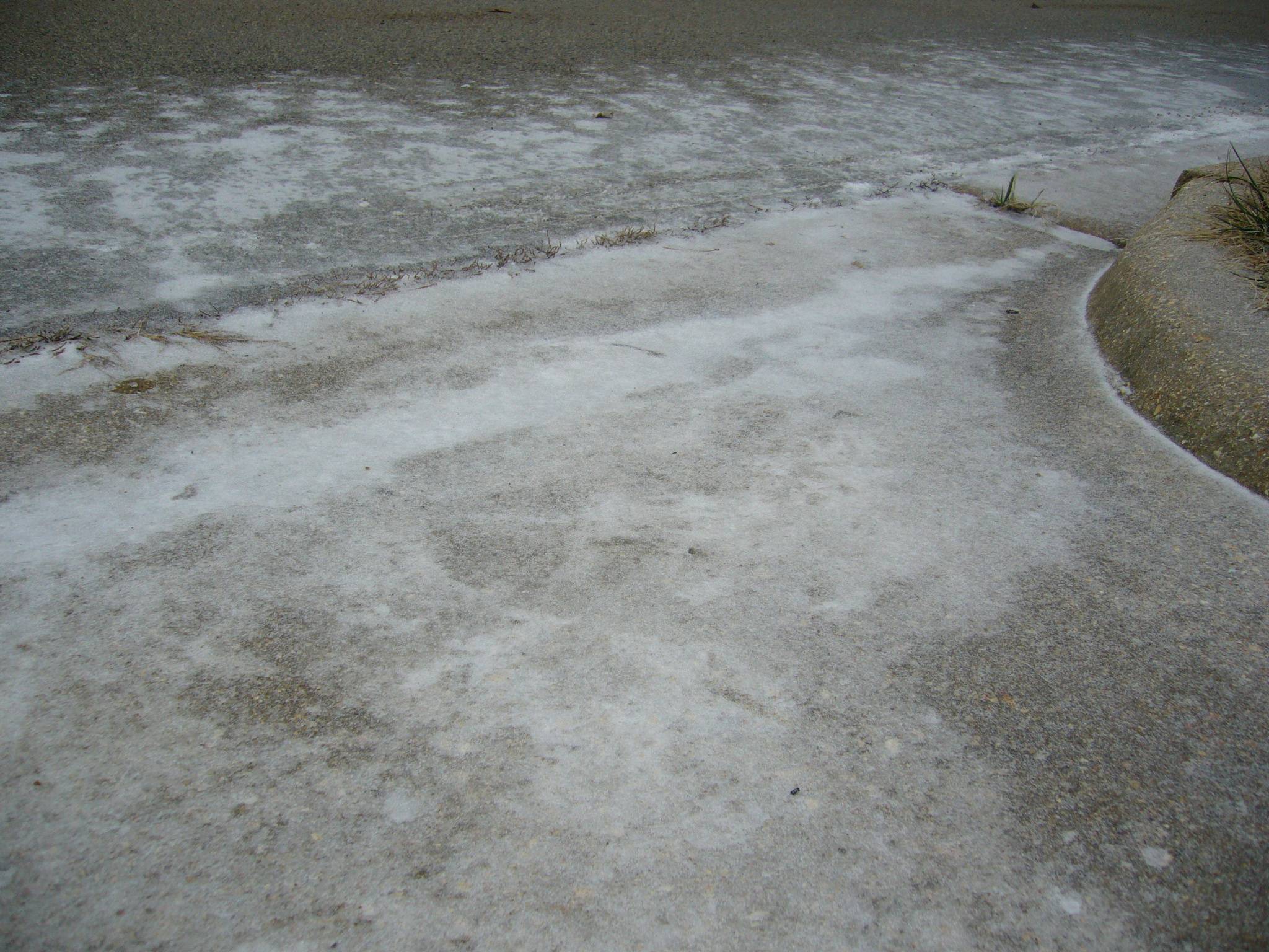 f0169397_8352981.jpg
