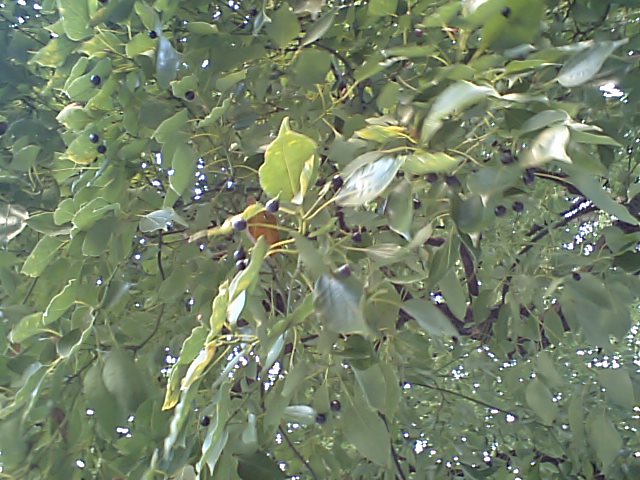 d0054704_23404620.jpg