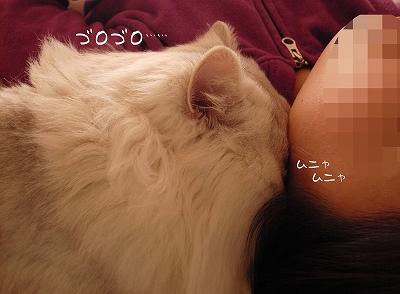 f0195204_1214227.jpg