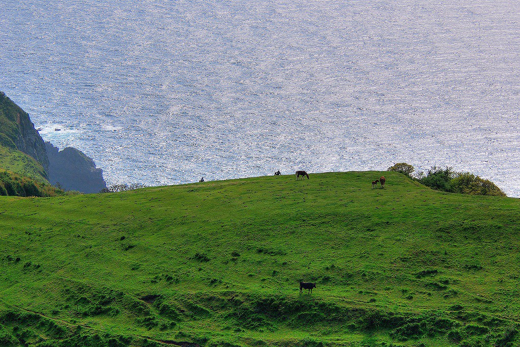 c0180505_9525474.jpg