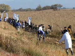 e0093407_18185310.jpg