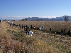 e0093407_1819592.jpg