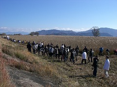e0093407_181986.jpg