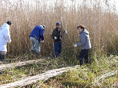 e0093407_18211142.jpg